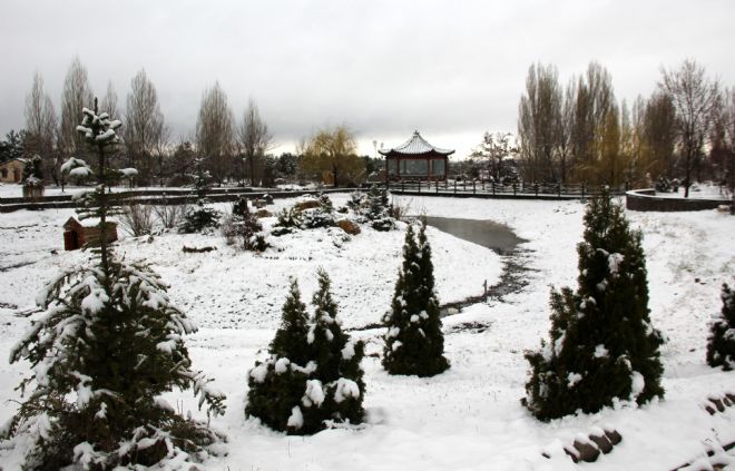 Nisa ayinda Erzurum’da lapa lapa kar yağışı