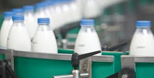 31 yıl aradan sonra süt üretiminde kotalar kaldırıldı