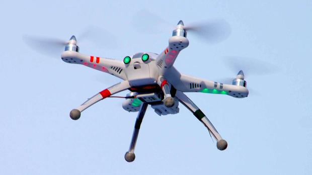 Hollanda İzinsiz uçan drone’ları kartallar yakalayacak