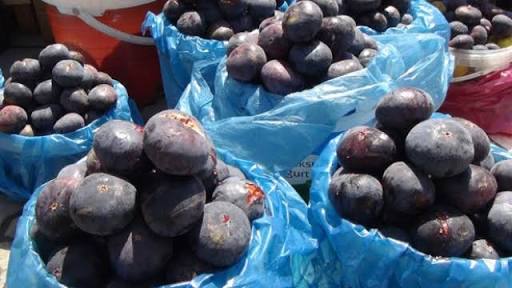 Bursa’dan Almanya’ya incir ihracatı