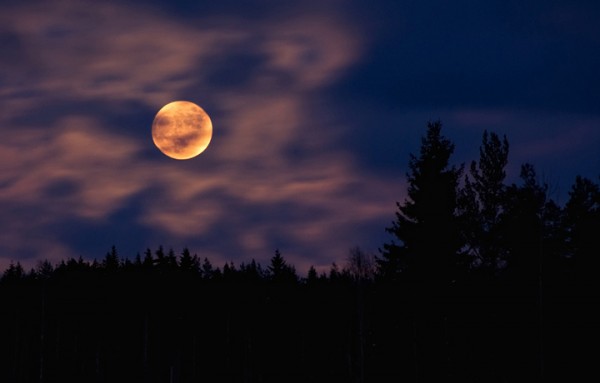 14 Kasım’da görülecek Süper Ay’ın en iyi fotoğrafını çekmek için 4 öneri