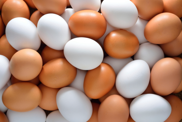 Hollanda: Bakterili Yumurtaları Sakın Yemeyin!