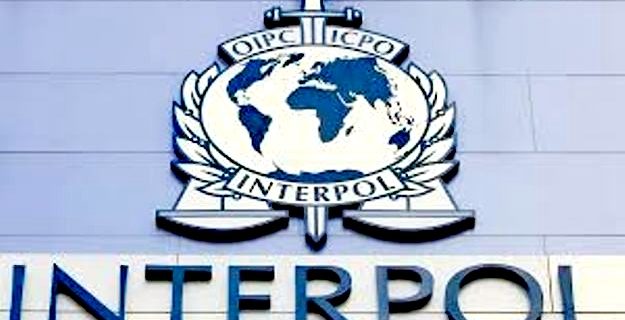 Interpol’den Hollanda dahil 93 Ülkede Uyuşturucu Operasyonu