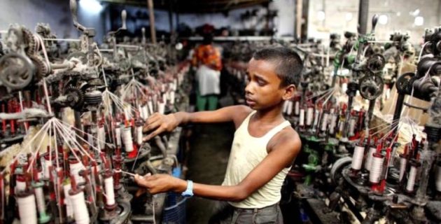 Hollanda tedarik zincirinde çocuk işçiliği olan ürünleri ülkeye sokmayacak