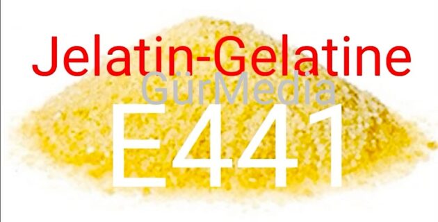 Jelatinin zararları nelerdir “Gelatine E-441”