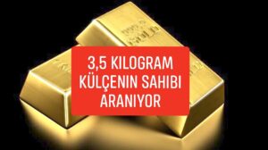 İsviçreli yetkililer trende 3.5 kilogram altın unutan birini arıyor