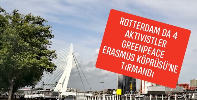 Rotterdam da Aktivistler Greenpeace Erasmus Köprüsü’ne tırmandı