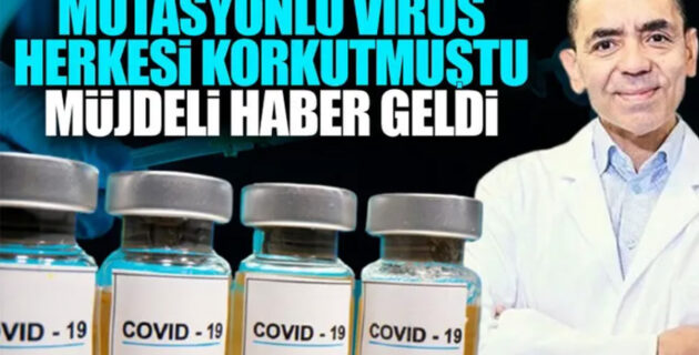 Türk bilim insanlarının bulduğu aşı mutasyonlu virüse karşı etkili oldu 