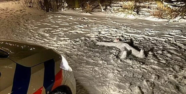 Hollanda’da cinayet sanılan vaka kardan adam çıktı!