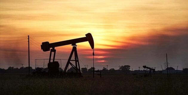 Petrol fiyatlarındaki düşüş, OPEC+ ülkelerini üretim kesintilerinde ‘temkinli’ olmaya zorlayabilir
