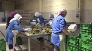 Türkiye’den en fazla konserve Hollanda’ya ihraç edildi