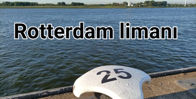 Rotterdam Limanı, Avrupa’nın en fazla karbon emisyonu yapan limanı oldu