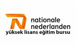 Hollanda’da yüksek lisans eğitim bursu NN’den