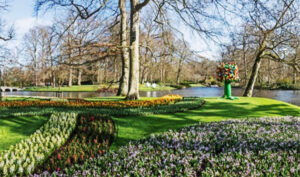 Hollanda’nın dünyaca ünlü lale bahçesi Keukenhof  kapılarını açtı