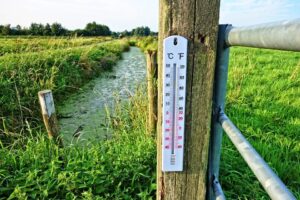 Avrupa’da Aşırı Sıcaklar Nedeniyle 61 Bin Kişi Yaşamını Yitirdi