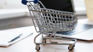 AB’de En Fazla Hollandalilar Online Alışveriş yapiyor
