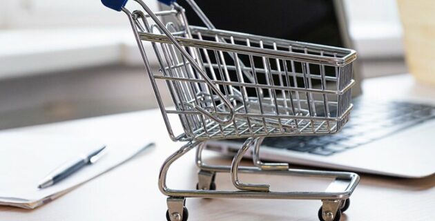 AB’de En Fazla Hollandalilar Online Alışveriş yapiyor